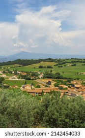 Countryside Around Chateuneuf Du Pape, Vaucluse, Provence, France