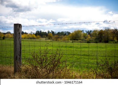 Countryside In Camden, Australia