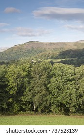 Countryside In Dee Valley Outside Llangollen; Wales; UK