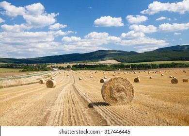Countryside field