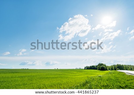 Countryside field natural background. Green grass and blue sky. Cloudscape in sunny day. Russia.