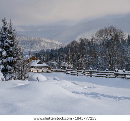 Winter idyll with view