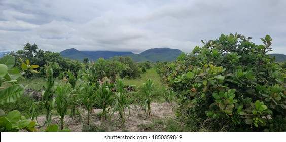 Countryside Kampong Chhnang Of Cambodia