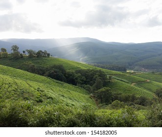 Komatiland Images, Stock Photos & Vectors | Shutterstock