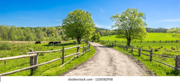 Countryside landscape, farm field and grass with grazing cows on pasture in rural scenery with country road, panoramic view - Shutterstock ID 1105582958
