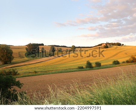 Countryside landscape on a summer evening in the Tarn department, Occitanie, southwestern France.