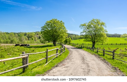 Countryside Landscape Farm Field Grass Grazing Stock Photo 1105582958 ...