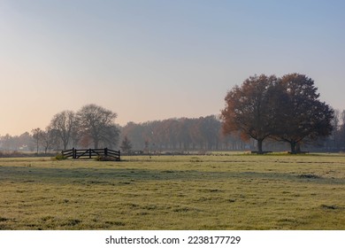 Countryside landscape in winter, Low flat land with white morning frost, Typical Dutch polder with wooden fence and small canal or ditch, Fog and mist covered on the green grass field, Netherlands. - Powered by Shutterstock