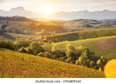 Countryside lanscape with vineyards and agryculture on sunset among hills