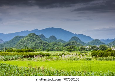 Cluster Home Stay Local Houses On Stock Photo 1829076659 | Shutterstock