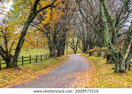 Similar – Image, Stock Photo Winding country road with dust cloud through the forest at sunrise. Spring landscape.