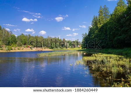 Countryside and nature of Latvia. Forest along the banks of river. Town of Ogre.