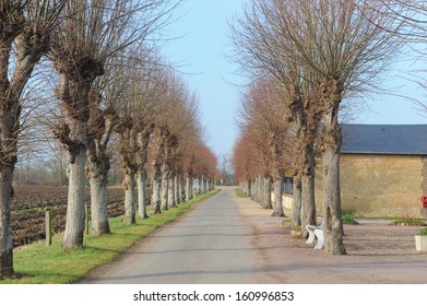 Countryside Of Normandy