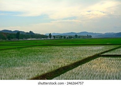 Countryside, North-Korea - Shutterstock ID 246264757