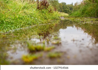 A countryside path along a field is flooded by rain, creating large puddles that reflect the local flora such as green grass and weeds. 