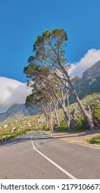 Countryside Road By The Mountains Winding Through A Scenic Rocky Hill. Street On The Mountain With Green Trees And Cloudy Blue Sky Copy Space. A Nature Path For Traveling Or Hiking In Cape Town