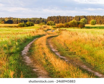 A countryside road during spring time. Podlasie. Podlachia. Poland, Europe. The region is called Podlasko or Podlasze. - Powered by Shutterstock