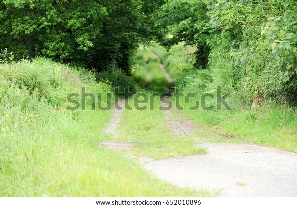 Countryside road with heart shaped tree tunnel wallpaper 