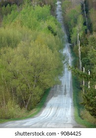 Countryside road in springtime