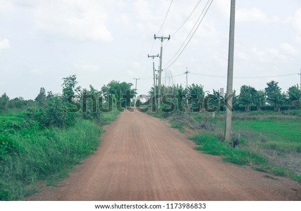 Countryside\
road with tree and electric pole in\
Thailand