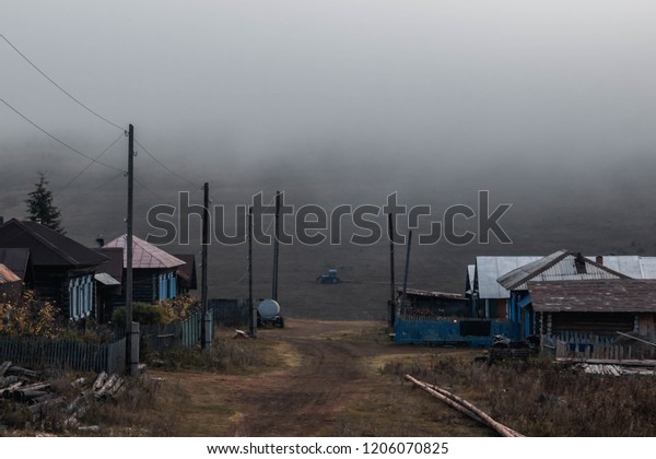 countryside\
road, trees and cars with fog in the\
morning