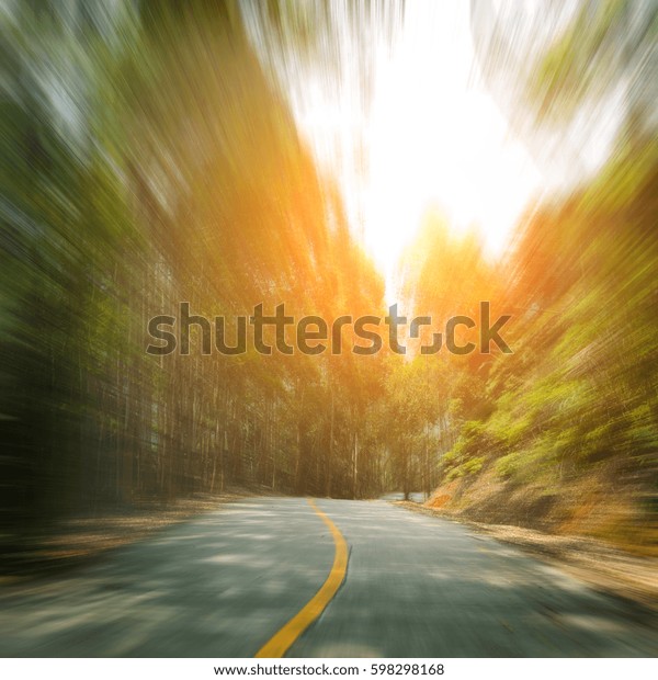 Countryside road with
trees on both
sides.