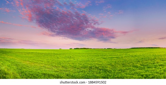 Countryside Rural Field Or Meadow Landscape With Green Grass Under Scenic Spring Sunset Sunrise Sky. Panorama Of Agricultural Landscape.