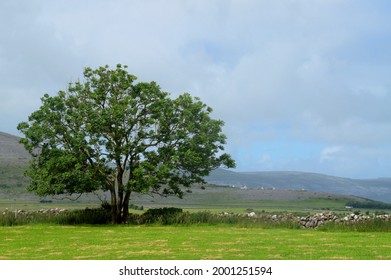 A Countryside Scene In Galway Ireland