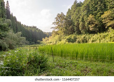 
Countryside scenery in Japan - Shutterstock ID 1164407257