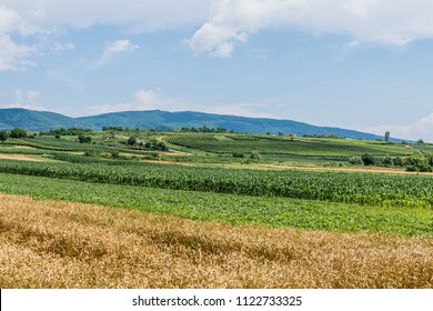 Countryside In Slavonia, Croatia