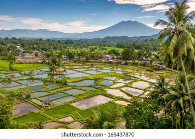 Countryside In Sumatra