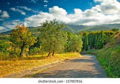 Countryside in Tuscany - Shutterstock ID 157007816