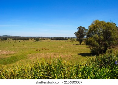 Countryside Views Camden NSW Australia