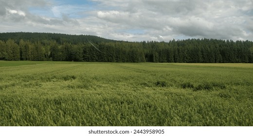 Countryside windows type wallpaper background landscape forrest views