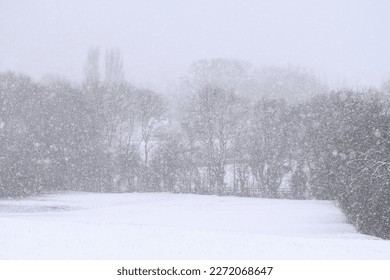 Countryside winter scene. Heavy snow, blizzard. Snow covered field. 