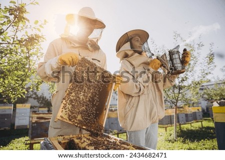 Couple of beekeepers, man and woman, taking out frame with bees from beehive at bee farm
