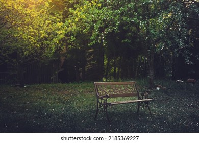 A Couple Bench Isolated In Nature In Moody Fantasy Atmospheric Nature Outdoors. Grief And Solitude Concept Background