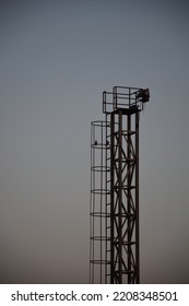 A Couple Of Birds Enjoying Their Time On The Tower A Few Minutes Before Sunset 