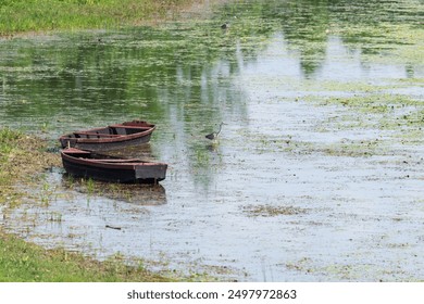 A couple of boats are floating in a lake with a bird standing on the water. The scene is peaceful and serene, with the birds and boats creating a sense of calmness. Gray Heron (Ardea cinerea). - Powered by Shutterstock