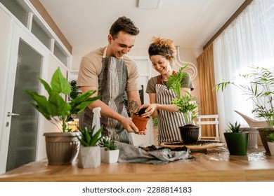 Couple caucasian man and woman wife and husband planting flowers together taking care of home plants real people domestic life family gardening concept copy space - Powered by Shutterstock