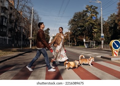 A couple crosses the street with their corgi dogs.