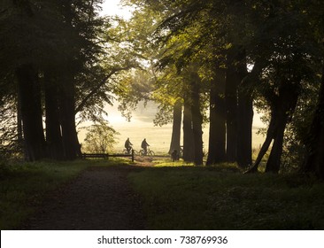 Couple Cycling In The Forest With Bicycles Outdoors In Holland, The Netherlands