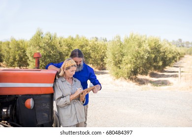 Couple discussing over clipboard in olive farm on a sunny day - Powered by Shutterstock