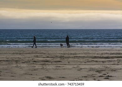 Couple with a Dog on the Beach at Sunset - Powered by Shutterstock