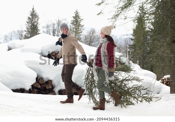 Couple Dragging Fresh Christmas Tree Near Stock Photo 2094436315 ...