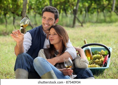 Couple enjoying a bottle of wine whilst harvesting grapes - Powered by Shutterstock