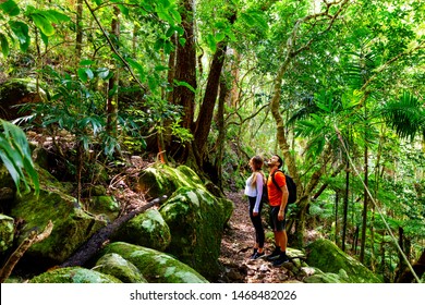 Couple exploring in the lush Lamington National Park, Queensland, Australia