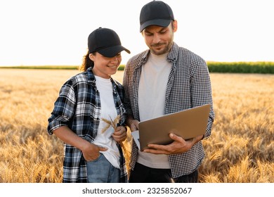 Couple of farmers examines the field of cereals	 - Powered by Shutterstock