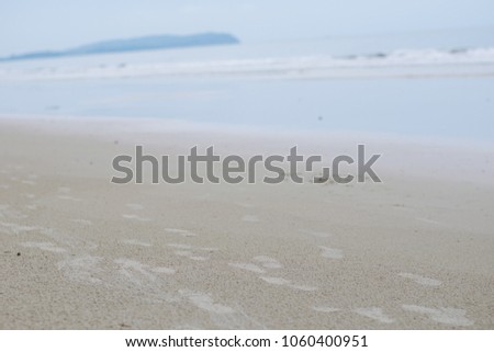 couple of footprints on a pristine sand beach
