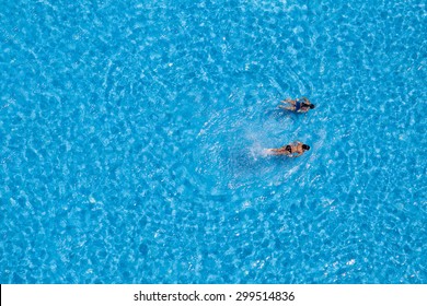 Couple Girls Swim In The Pool At The Hotel. View From Above. 